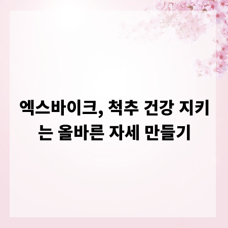 엑스바이크, 척추 건강 지키는 올바른 자세 만들기