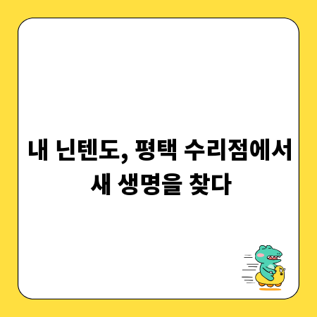 내 닌텐도, 평택 수리점에서 새 생명을 찾다