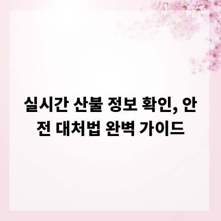 실시간 산불 정보 확인, 안전 대처법 완벽 가이드