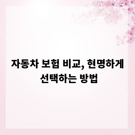자동차 보험 비교, 현명하게 선택하는 방법