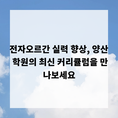 전자오르간 실력 향상, 양산 학원의 최신 커리큘럼을 만나보세요