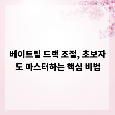 베이트릴 드랙 조절, 초보자도 마스터하는 핵심 비법