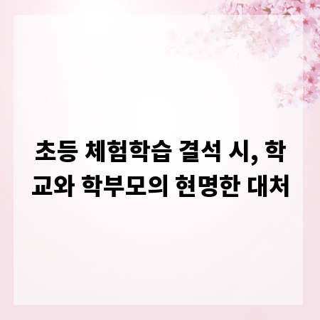 초등 체험학습 결석 시, 학교와 학부모의 현명한 대처