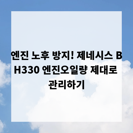 엔진 노후 방지! 제네시스 BH330 엔진오일량 제대로 관리하기