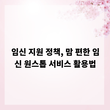 임신 지원 정책, 맘 편한 임신 원스톱 서비스 활용법