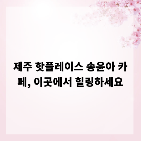 제주 핫플레이스 송윤아 카페, 이곳에서 힐링하세요