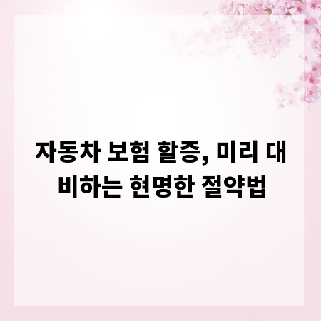 자동차 보험 할증, 미리 대비하는 현명한 절약법
