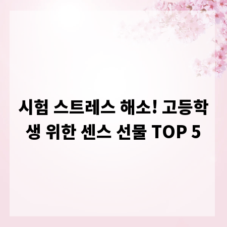 시험 스트레스 해소! 고등학생 위한 센스 선물 TOP 5