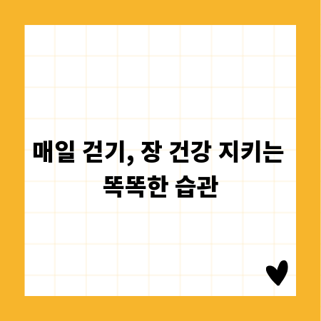 매일 걷기, 장 건강 지키는 똑똑한 습관