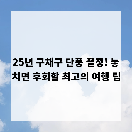 25년 구채구 단풍 절정! 놓치면 후회할 최고의 여행 팁