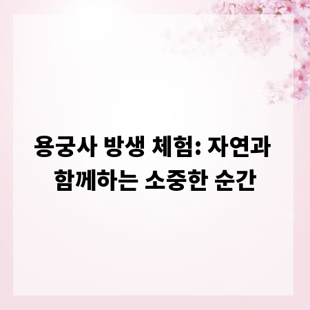 용궁사 방생 체험: 자연과 함께하는 소중한 순간