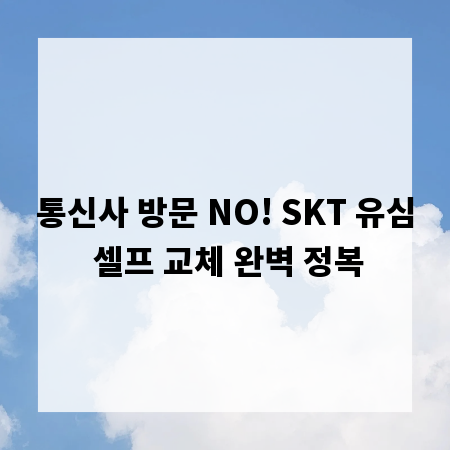 통신사 방문 NO! SKT 유심 셀프 교체 완벽 정복