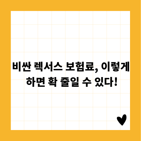 비싼 렉서스 보험료, 이렇게 하면 확 줄일 수 있다!