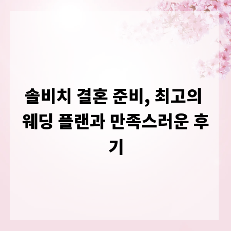 솔비치 결혼 준비, 최고의 웨딩 플랜과 만족스러운 후기