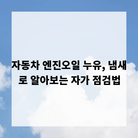 자동차 엔진오일 누유, 냄새로 알아보는 자가 점검법