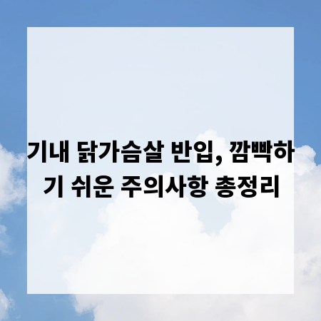 기내 닭가슴살 반입, 깜빡하기 쉬운 주의사항 총정리