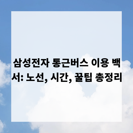 삼성전자 통근버스 이용 백서: 노선, 시간, 꿀팁 총정리