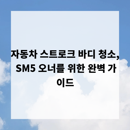 자동차 스트로크 바디 청소, SM5 오너를 위한 완벽 가이드