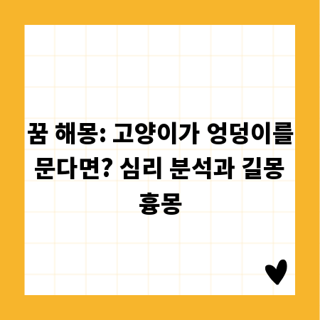 꿈 해몽: 고양이가 엉덩이를 문다면? 심리 분석과 길몽 흉몽