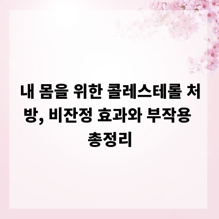 내 몸을 위한 콜레스테롤 처방, 비잔정 효과와 부작용 총정리