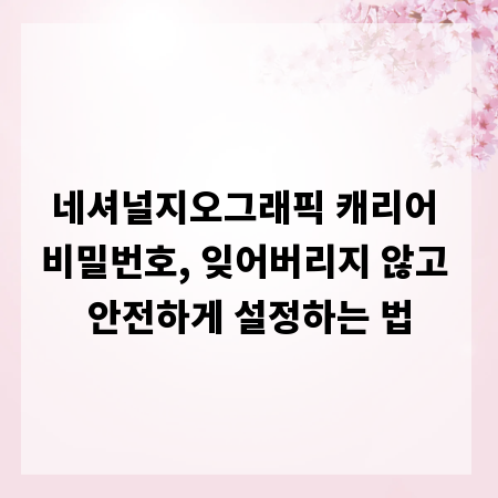 네셔널지오그래픽 캐리어 비밀번호, 잊어버리지 않고 안전하게 설정하는 법