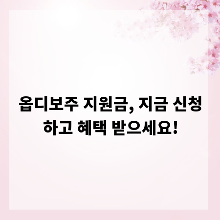 옵디보주 지원금, 지금 신청하고 혜택 받으세요!