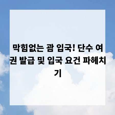 막힘없는 괌 입국! 단수 여권 발급 및 입국 요건 파헤치기