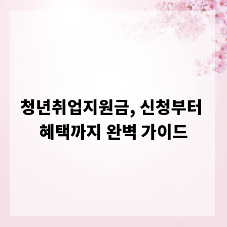 청년취업지원금, 신청부터 혜택까지 완벽 가이드
