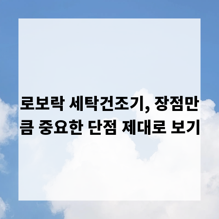 로보락 세탁건조기, 장점만큼 중요한 단점 제대로 보기
