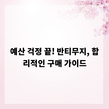 예산 걱정 끝! 반티무지, 합리적인 구매 가이드