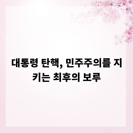 대통령 탄핵, 민주주의를 지키는 최후의 보루