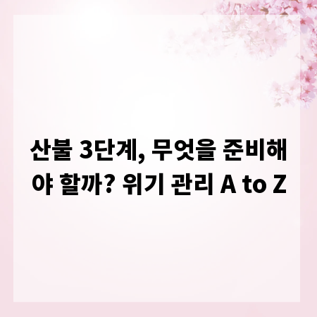 산불 3단계, 무엇을 준비해야 할까? 위기 관리 A to Z