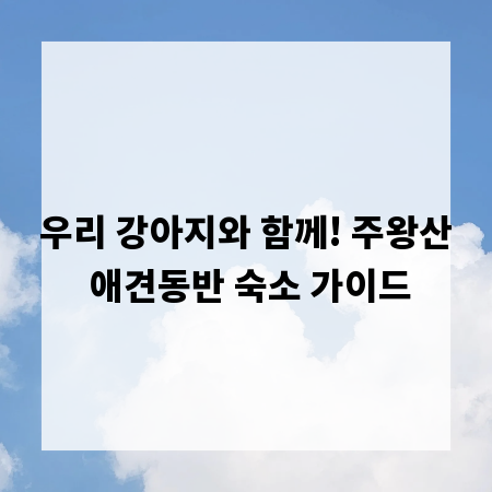우리 강아지와 함께! 주왕산 애견동반 숙소 가이드
