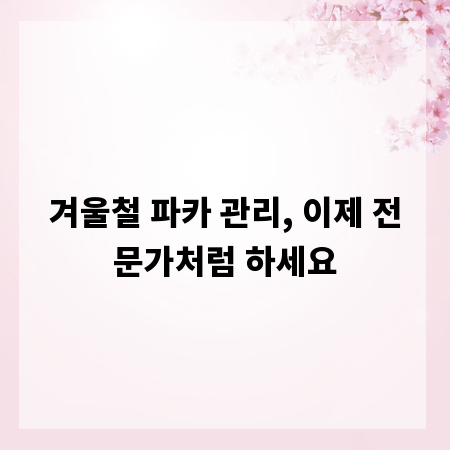 겨울철 파카 관리, 이제 전문가처럼 하세요