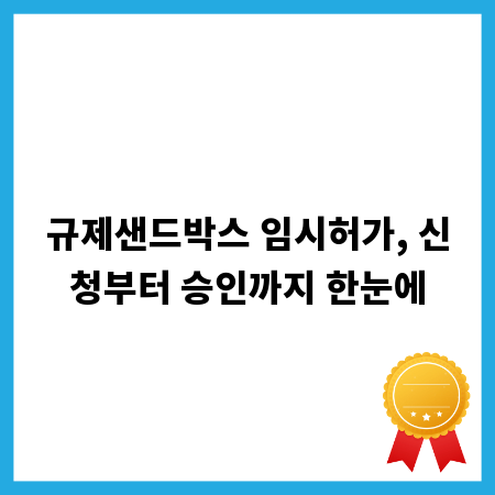 규제샌드박스 임시허가, 신청부터 승인까지 한눈에