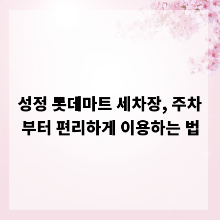 성정 롯데마트 세차장, 주차부터 편리하게 이용하는 법