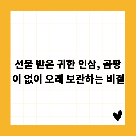선물 받은 귀한 인삼, 곰팡이 없이 오래 보관하는 비결