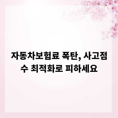 자동차보험료 폭탄, 사고점수 최적화로 피하세요