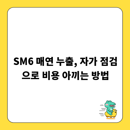 SM6 매연 누출, 자가 점검으로 비용 아끼는 방법