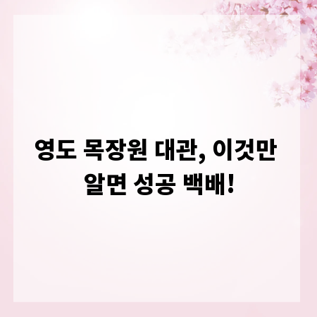 영도 목장원 대관, 이것만 알면 성공 백배!