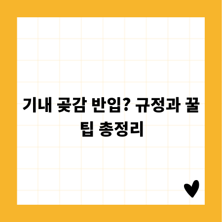 기내 곶감 반입? 규정과 꿀팁 총정리