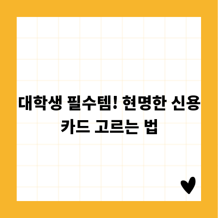 대학생 필수템! 현명한 신용카드 고르는 법