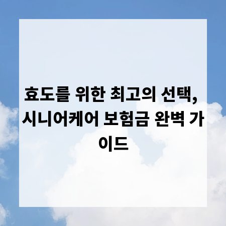 효도를 위한 최고의 선택, 시니어케어 보험금 완벽 가이드