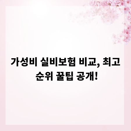 가성비 실비보험 비교, 최고 순위 꿀팁 공개!