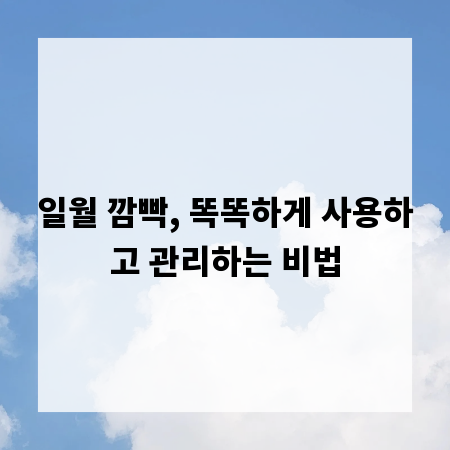 일월 깜빡, 똑똑하게 사용하고 관리하는 비법