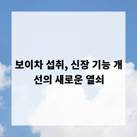 보이차 섭취, 신장 기능 개선의 새로운 열쇠