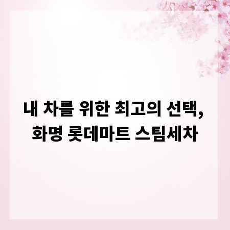 내 차를 위한 최고의 선택, 화명 롯데마트 스팀세차