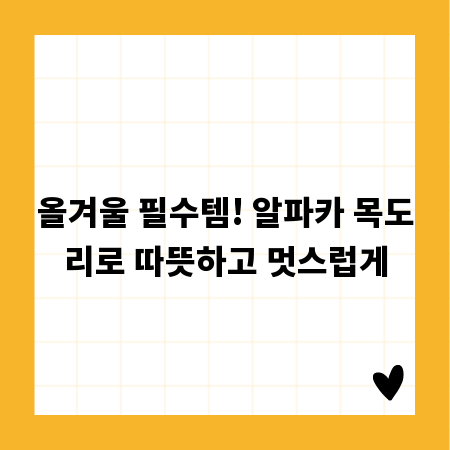올겨울 필수템! 알파카 목도리로 따뜻하고 멋스럽게