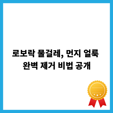 로보락 물걸레, 먼지 얼룩 완벽 제거 비법 공개