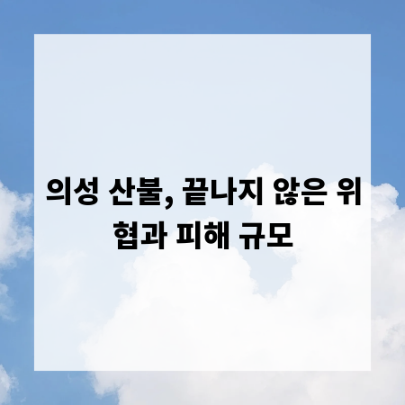 의성 산불, 끝나지 않은 위협과 피해 규모
